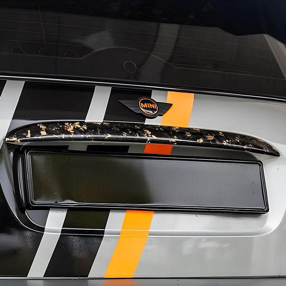 MINI R50/R52/R53 Carbon Fiber Exterior Parts